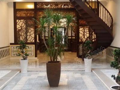 希伦棕榈套房酒店(Heeren Palm Suites)公共区域